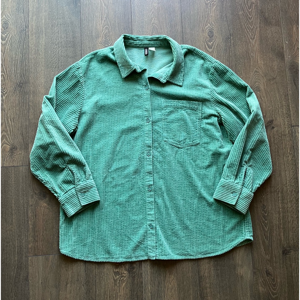 Nwot Divided Button Down